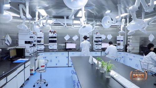 六元環三劍客 二十年死磕分子砌塊，讓中國技術嵌入全球藥脈